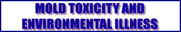 Healing Environmental Illness, Allergies, Mold Toxicity Treatment